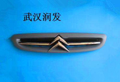 赛纳中网